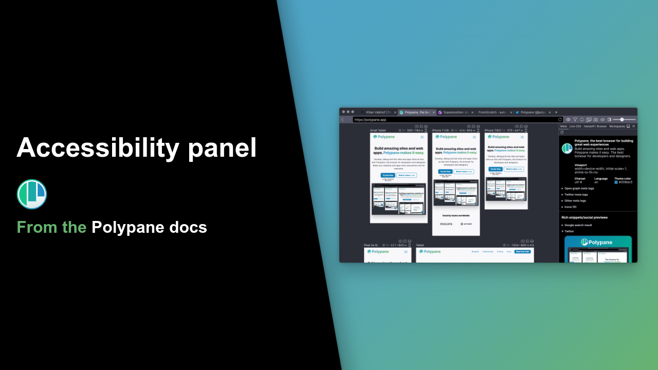 Accessibility panel | Polypane