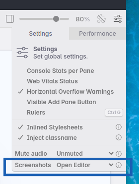 Global settings with highlighted 'screenshots' option