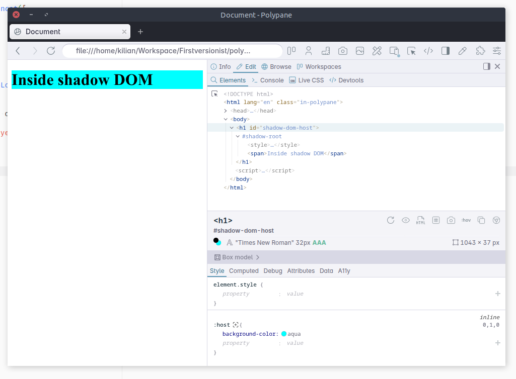 a screenshot of the elements panel showing :host styles