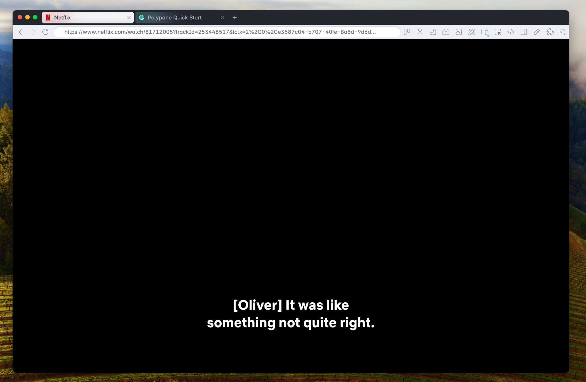 Polypane playing a netflix DRM video